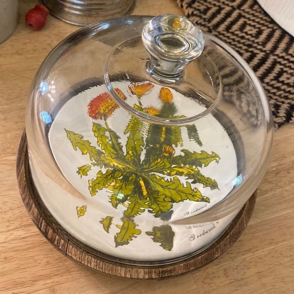 Vintage Goodwood Teak Cheese Tray with Glass Cover Dandelion Plate Design - Picture 1 of 5